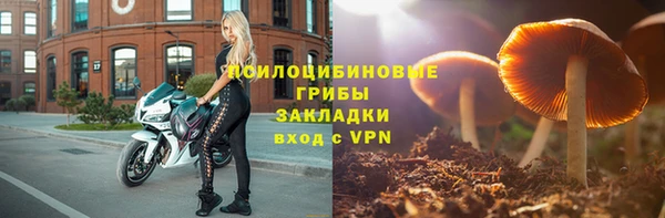 2c-b Аркадак