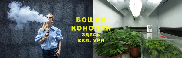 кокс Арсеньев